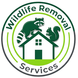 Wildlife Removal Service, Nashville